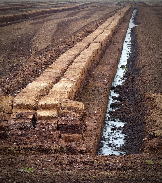 peat-1265081_640